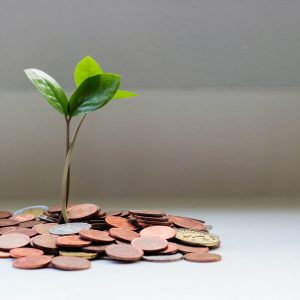 Mit Geld die Welt retten – Klimafinanzierung