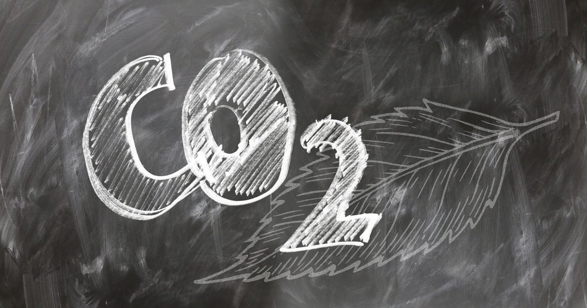 Neuseeland goes CO2 neutral