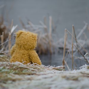 Den Klimawandel bebildern: Bitte ohne Eisbärenfotos