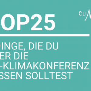 COP25 – 5 Dinge, die du wissen solltest