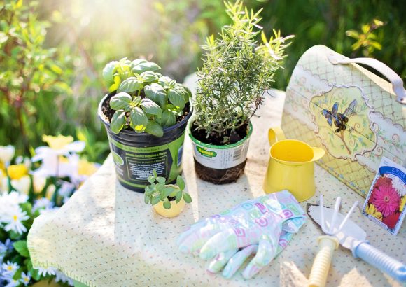 „Wonnemonat Mai“- Zeit für Garten- oder Balkonsaison