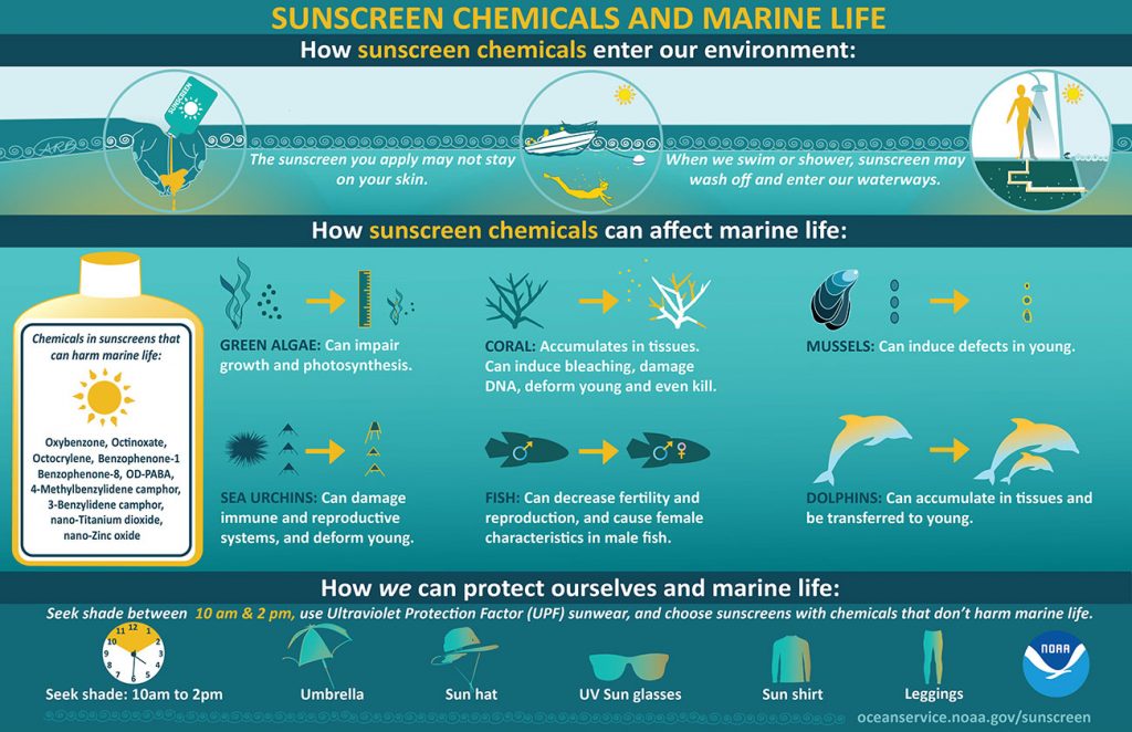 (c) NOAA, Infographic: Sunscreen Chemicals and Marine Life.