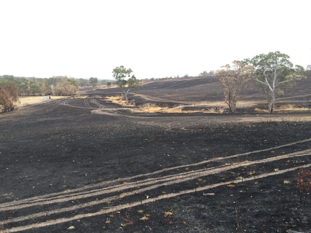Verbrannte Erde nach den Feuern in Adelaide. Die Rachpartikel sind ein Aspekt dessen, wie Klima die Gesundheit beeinflusst.
