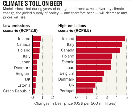 Eine Grafik zeigt die höheren Preise für Bier durch die Klimakrise.